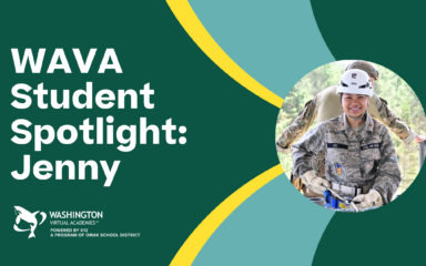 online school leadership development