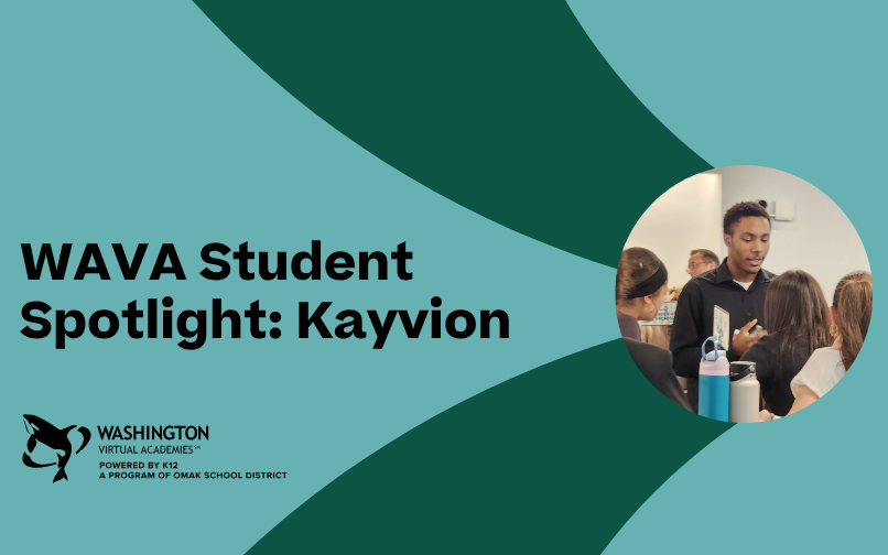 WAVA Kayvion