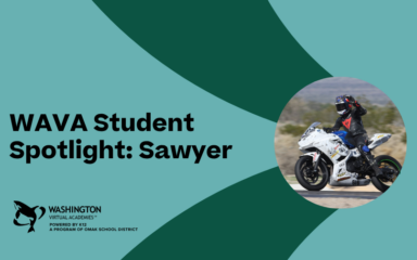 WAVA Sawyer