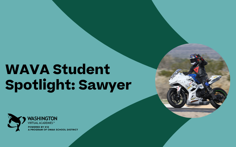 WAVA Sawyer